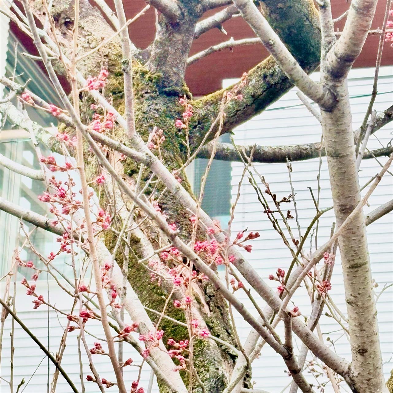 ２つの財布が一つにまとまる♪