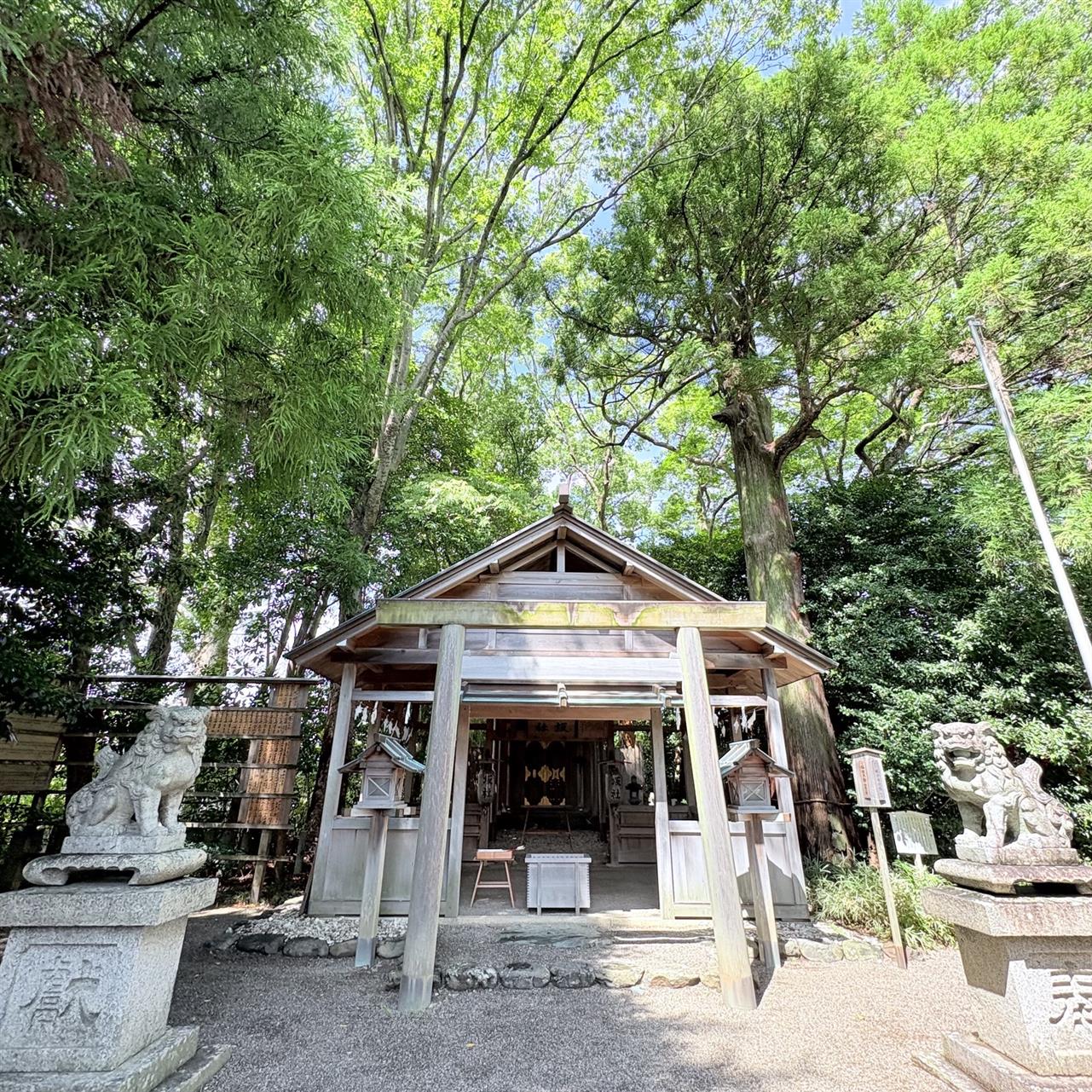 伊勢市立図書館前　坂社さんへ♪