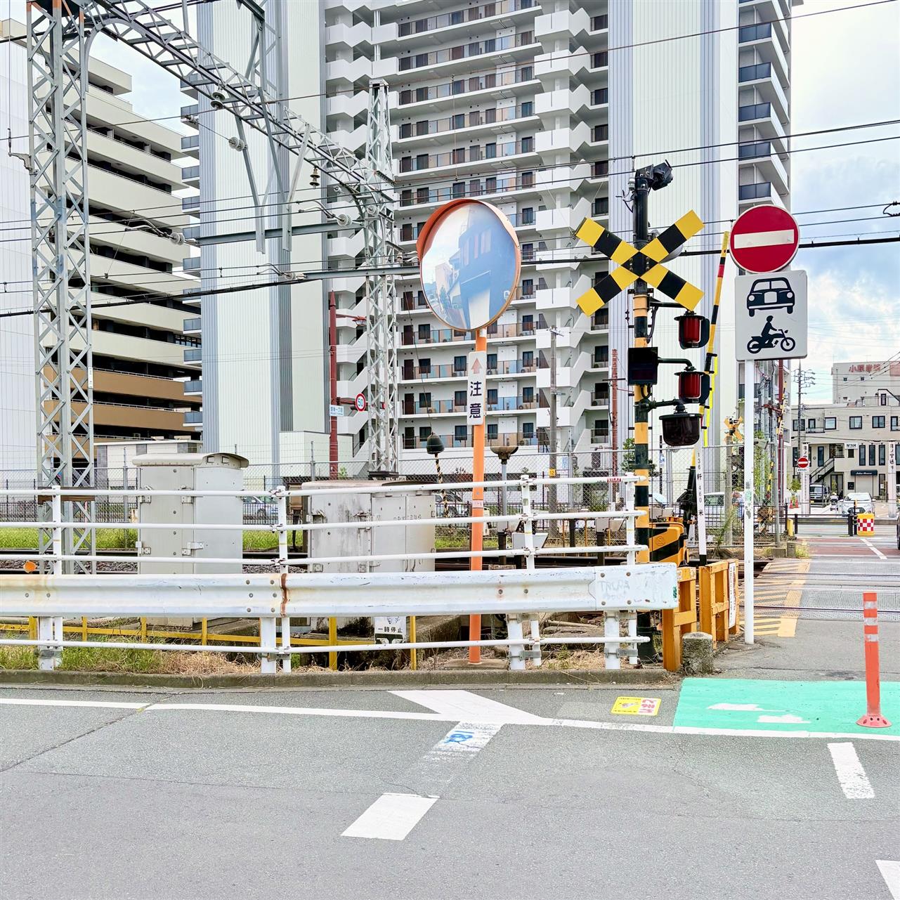 伊勢市の鳥・イソヒヨドリ